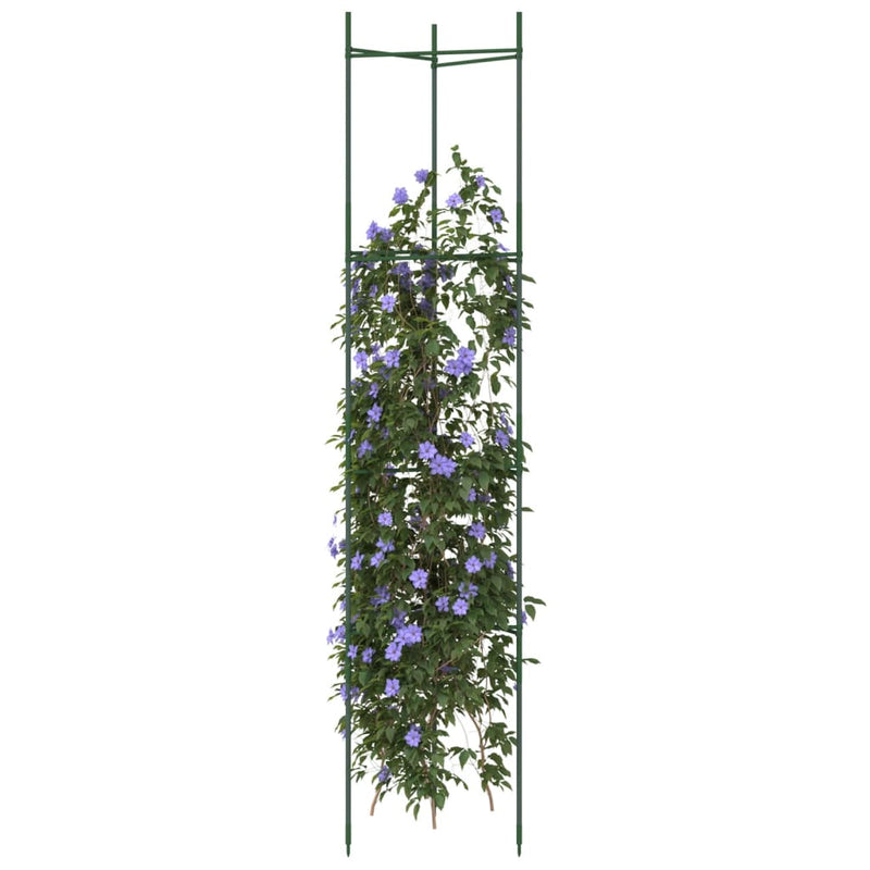 Vidaxl Tomato Cage 2 St 154 cm in acciaio e polipropene