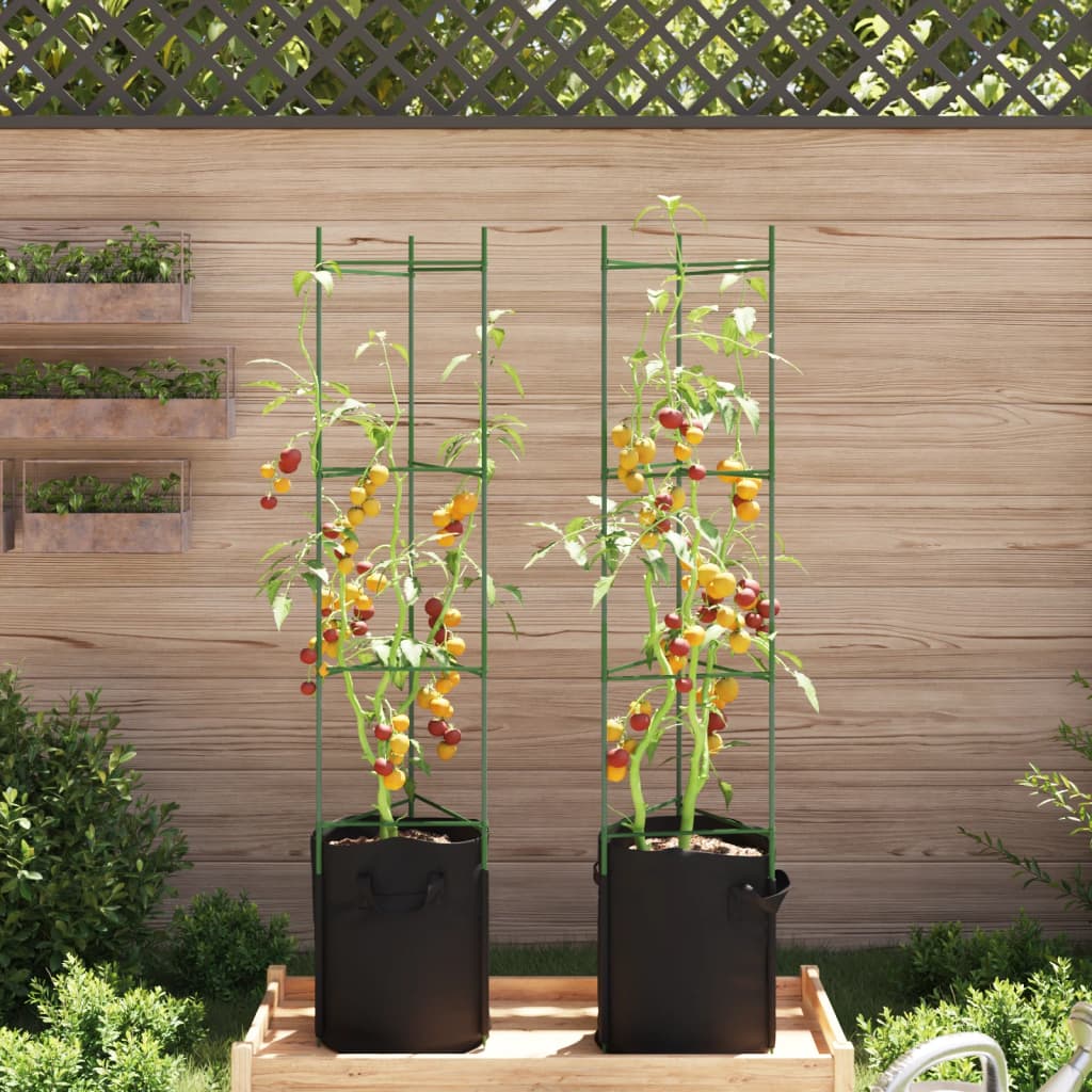 Vidaxl Tomato Cage con sacchetto vegetale 2 St 154 cm in acciaio e polipropene