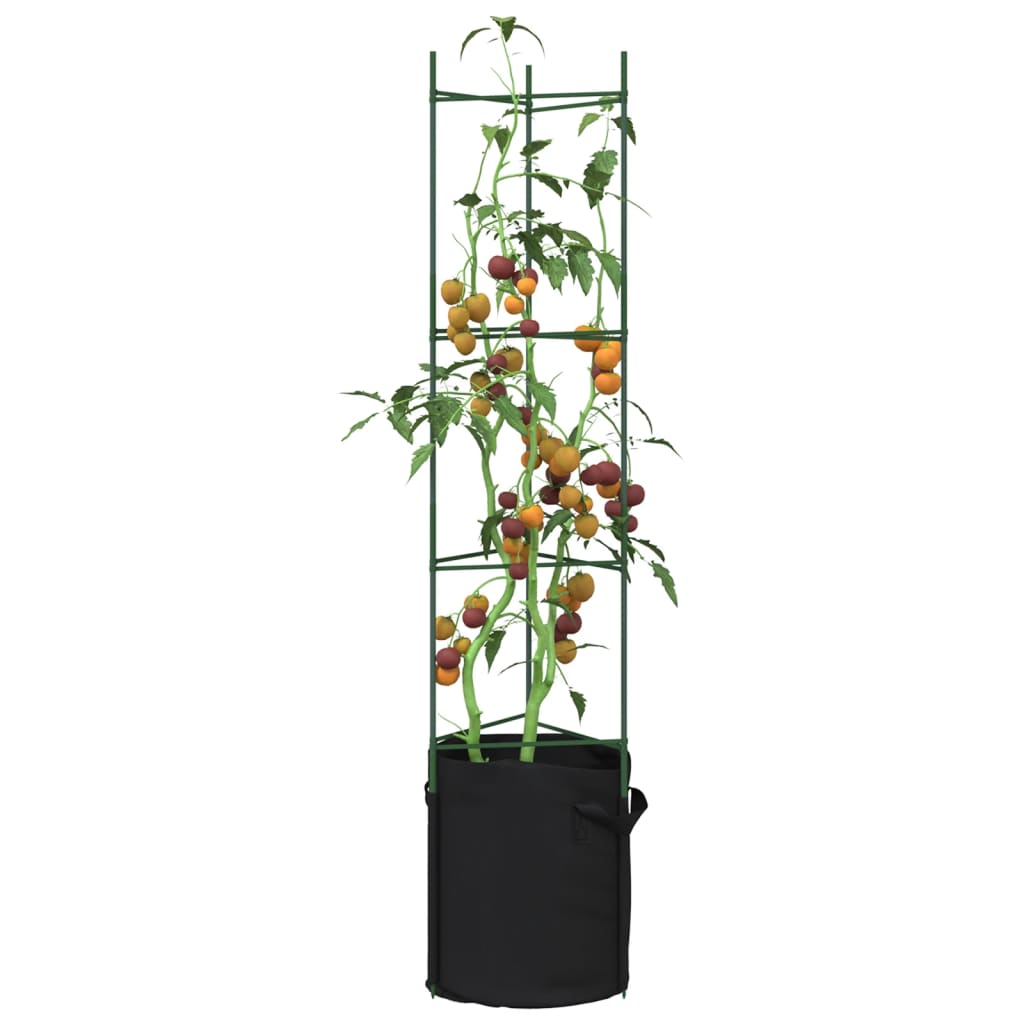 Vidaxl Tomato Cage con sacchetto vegetale 2 St 154 cm in acciaio e polipropene