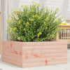 Casella di pianificazione Vidaxl 50x50x23 cm Douglashout solido