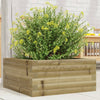 Vidaxl Planning Box 50x50x23 cm Pine impregnado