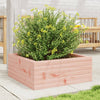 Vidaxl Planning Box 60x60x23 cm Douglhout sólido