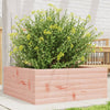 Vidaxl Planning Box 60x60x23 cm Douglhout sólido