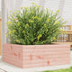 Vidaxl Planning Box 60x60x23 cm Douglhout sólido
