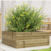 Casella di pianificazione Vidaxl 60x60x23 cm Pine impregnato