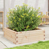 Vidaxl Planning Box 70x70x23 cm de pino sólido