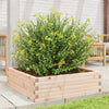 Vidaxl plantenbak 80x80x23 cm massief grenenhout