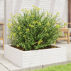 Vidaxl Planning Box 80x80x23 cm de pino sólido White