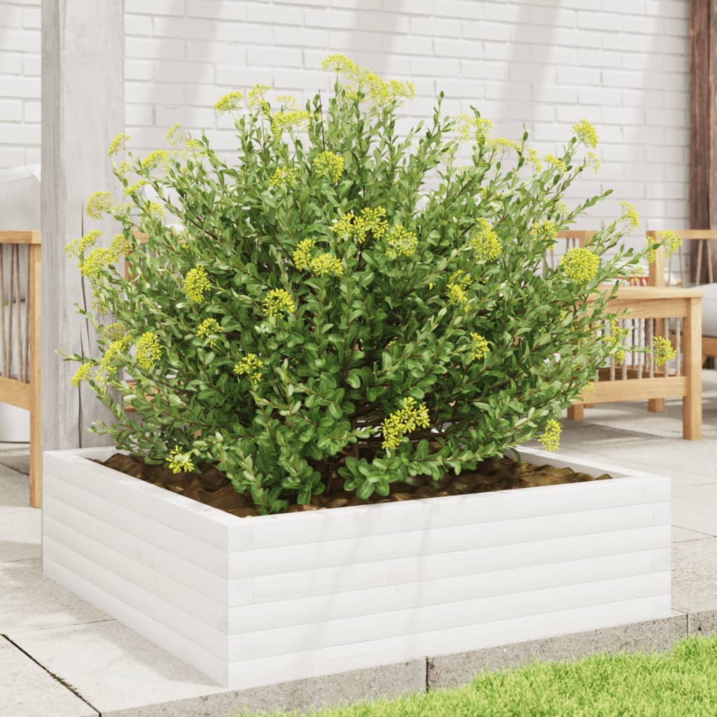 Vidaxl Planning Box 80x80x23 cm de pino sólido White