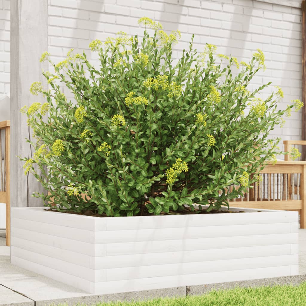 Vidaxl Planning Box 80x80x23 cm de pino sólido White