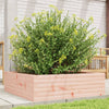 Vidaxl Planning Box 80x80x23 cm Douglhout sólido