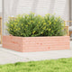 Vidaxl Planning Box 90x90x23 cm Douglhout sólido