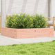 Vidaxl Planning Box 110x110x23 cm Douglhout sólido