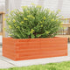 Vidaxl Planning Box 70x40x23 cm de pino sólido marrón