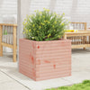 Vidaxl Planter Big 50x50x45.5 cm Douglhout sólido