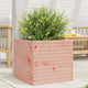 Vidaxl Planter Big 50x50x45.5 cm Douglhout sólido