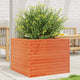 Vidaxl Planning Box 60x60x45.5 cm de pino sólido marrón