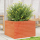Vidaxl Planning Box 70x70x45.5 cm de pino sólido marrón