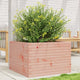 Vidaxl Planning Box 70x70x45.5 cm Douglhout sólido