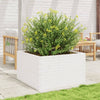 Vidaxl Planning Box 80x80x45.5 cm de pino sólido