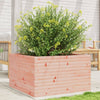 Casella di pianificazione Vidaxl 80x80x45.5 cm Douglashout solido