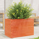 Vidaxl Planning Box 70x40x45.5 cm de pino sólido marrón