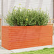 Vidaxl Planning Box 110x40x45.5 cm de pino sólido marrón