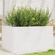 Vidaxl Planning Box 90x60x45.5 cm de pino sólido blanco