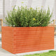 Vidaxl Planning Box 90x60x45.5 cm de pino sólido marrón
