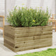 Vidaxl Planning Box 90x60x45.5 cm Pine impregnado