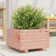 Vidaxl Planning Box 40x40x26.5 cm Douglhout sólido