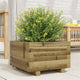 Vidaxl Planning Box 40x40x26.5 cm Pine impregnado