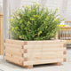 VidaXL Planning box 50x50x26.5 cm Solid pine