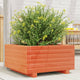 Vidaxl Planter 50x50x26.5 cm de pino sólido marrón