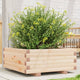 Vidaxl Planning Box 60x60x26.5 cm de pino sólido