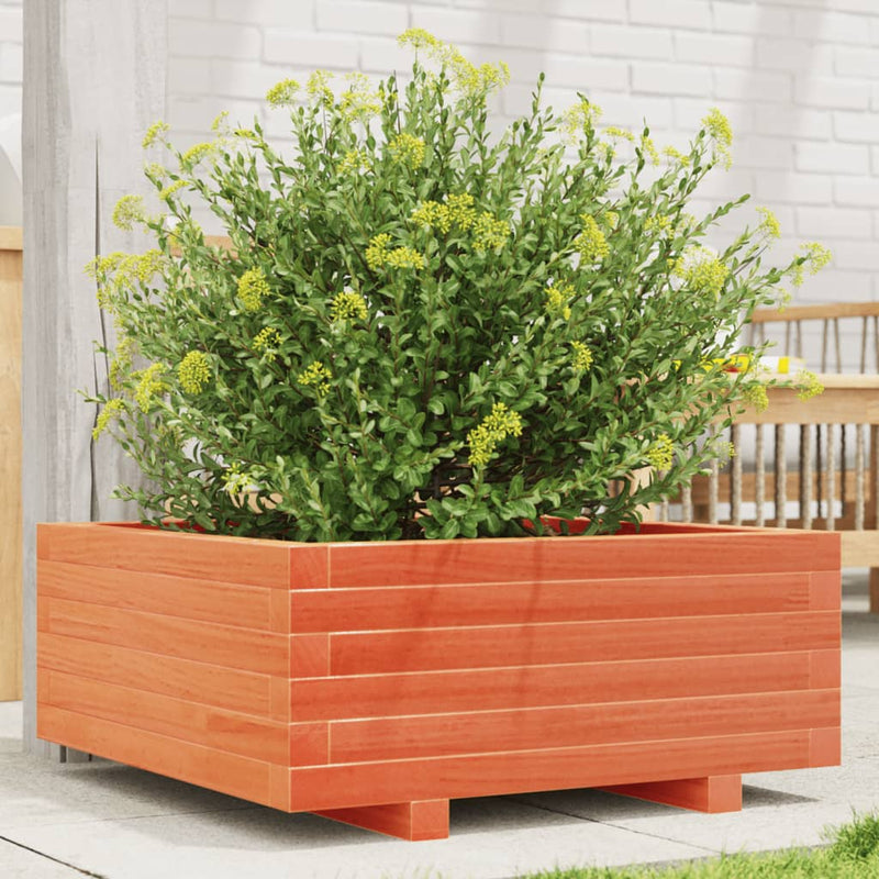Vidaxl Planning Box 60x60x26.5 cm de pino sólido marrón