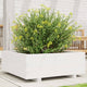 Vidaxl Planning Box 70x70x26.5 cm de pino sólido