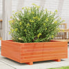 Vidaxl Planning Box 70x70x26.5 cm de pino sólido marrón