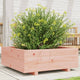 Vidaxl Planning Box 70x70x26.5 cm Douglhout sólido