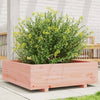 Vidaxl Planning Box 80x80x26.5 cm Douglhout sólido