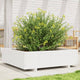 Vidaxl Planning Box 90x90x26.5 cm de pino sólido
