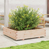 Vidaxl Fiorter 100x100x26.5 cm Pino solido