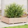Vidaxl Fiorter 100x100x26.5 cm Pino solido