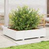 Plantador Vidaxl 100x100x26.5 cm de pino sólido