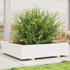 Plantador Vidaxl 100x100x26.5 cm de pino sólido