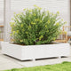 Plantador Vidaxl 100x100x26.5 cm de pino sólido