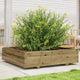 Vidaxl Planning box 100x100x26.5 cm Impregnated pine
