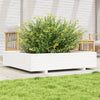Casella di pianificazione Vidaxl 110x110x26.5 cm Pino solido bianco