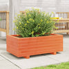 Vidaxl Planter Big 70x40x26.5 cm de pino sólido marrón