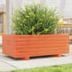 Vidaxl Planter Big 70x40x26.5 cm de pino sólido marrón